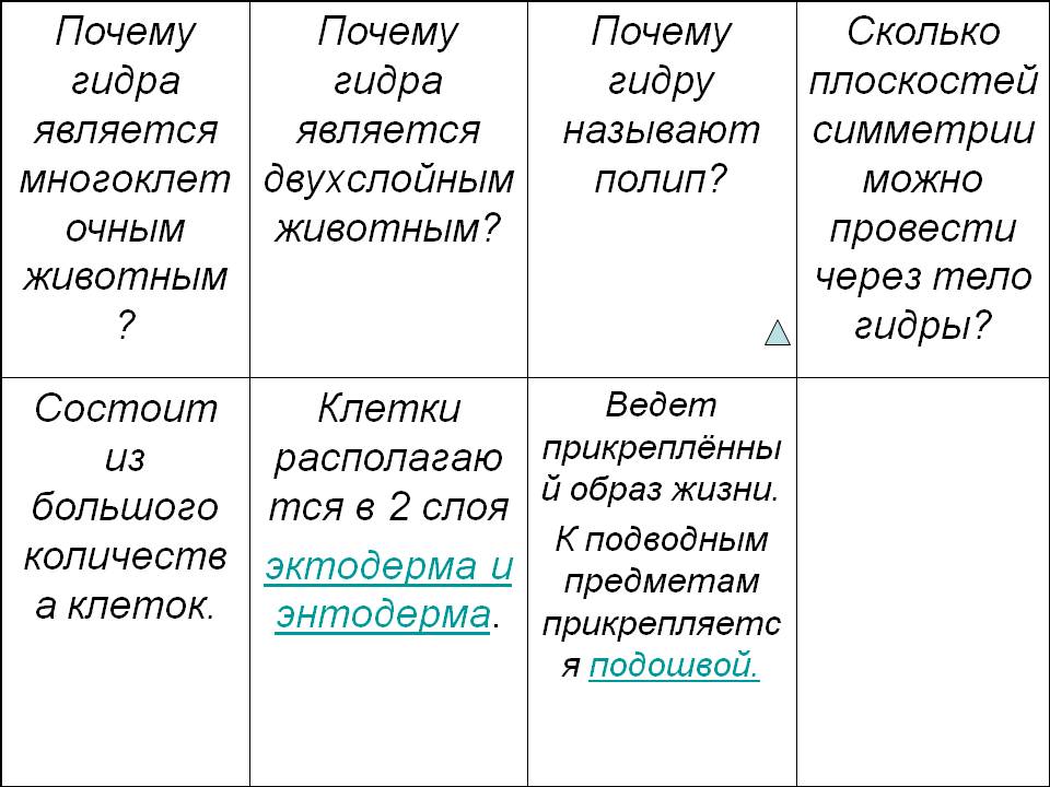 Кракен работает