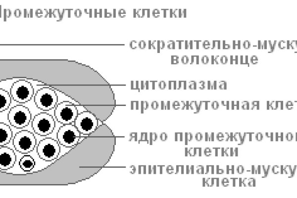 Как зарегистрироваться на кракене маркетплейс