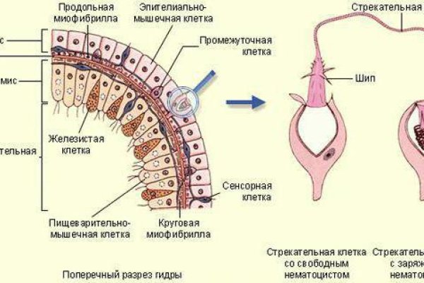 Кракен официальный сайт онион